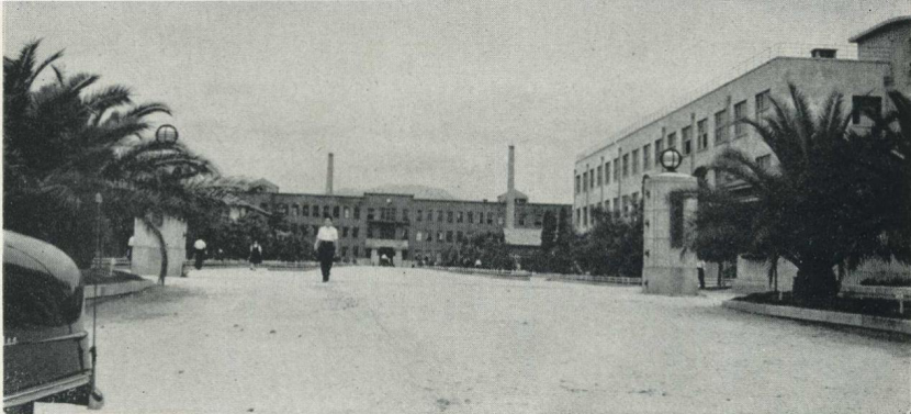 1593262216466455.png fbd272ccc0ffebdef041bf45c41c248.png